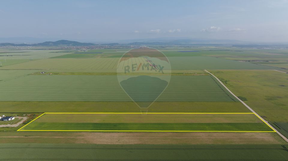 Teren 42,000mp Tarlungeni / Strada Izvor