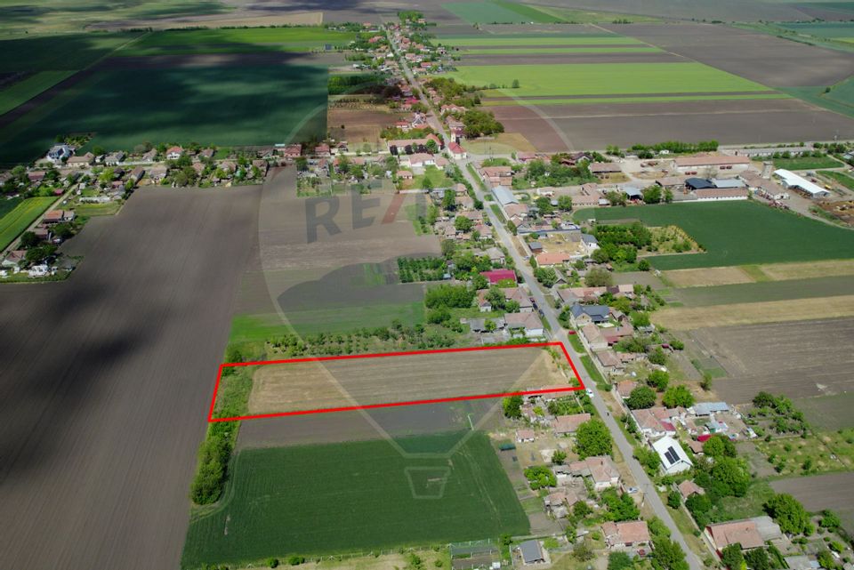 Teren intravilan 5,018mp Variasu Mare - 15 km de Arad/ str. Principală