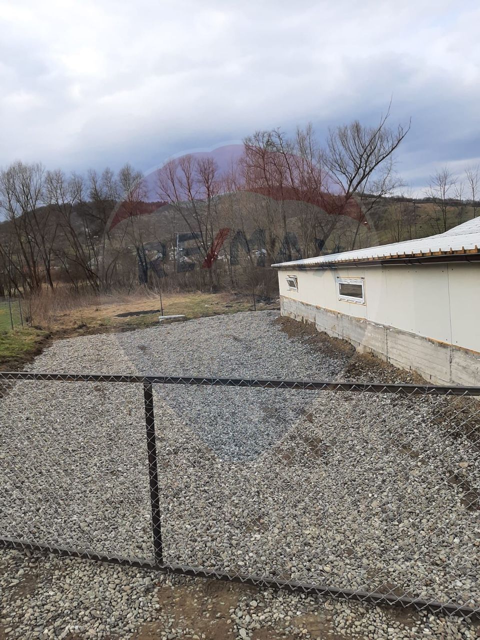 Afacere la cheie în creșterea porcinelor – Rona de Jos