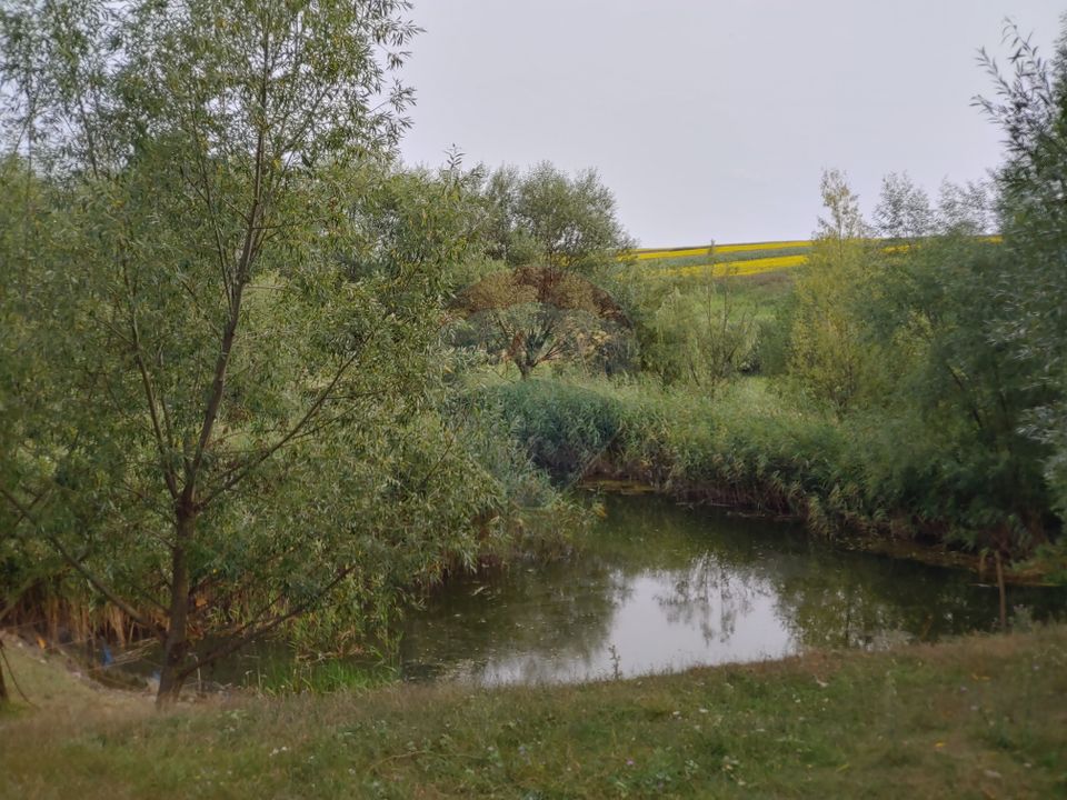 Teren parțial intravilan-300000mp Stroiești-Trei Movile, Suceava