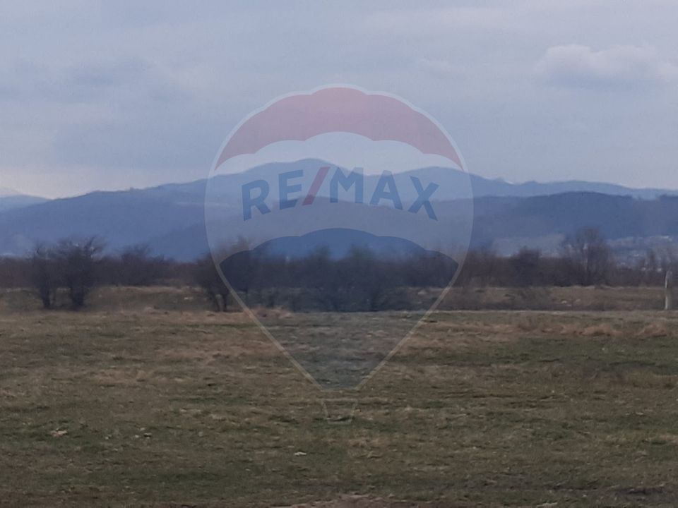 Teren 10,000mp Rasnov / Drumul Panicel