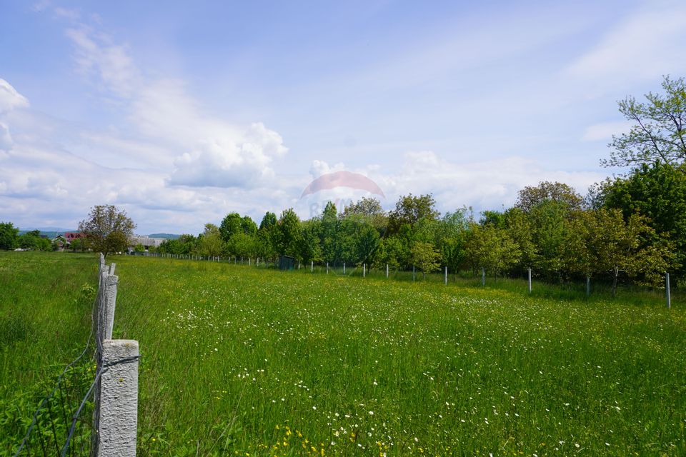 Teren 2,486mp Sighetu Marmatiei / Strada Constantin Dobrogeanu-Gherea