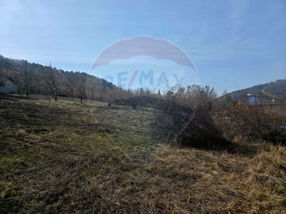 Land 1,000sqm Piatra-Neamt / Strada Pietrelor