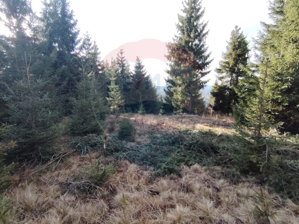 Land 17,895sqm Dorna-Arini / Prelungirea Cozănești