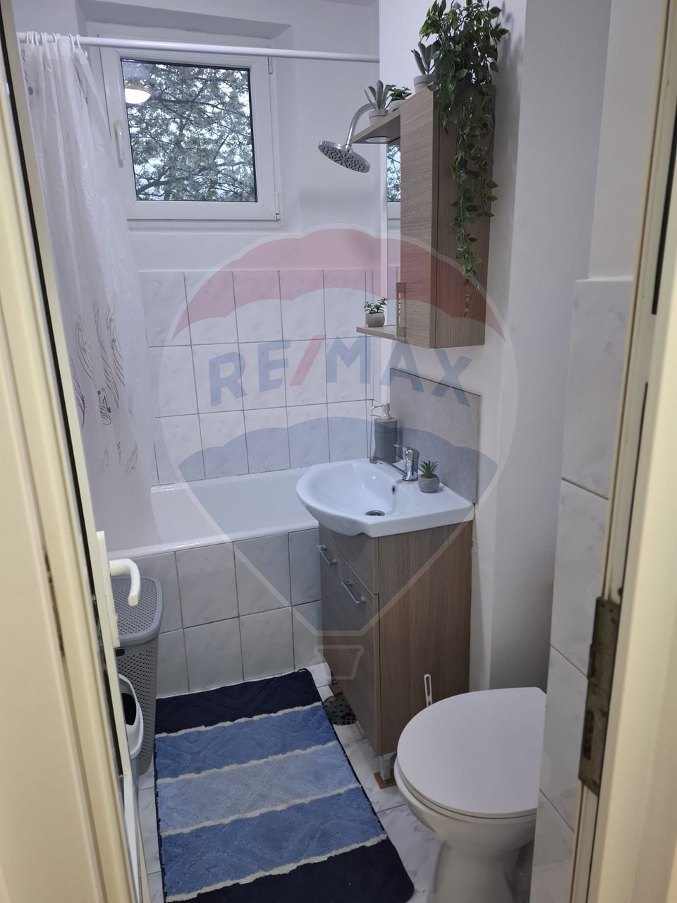 2 room Apartment for rent