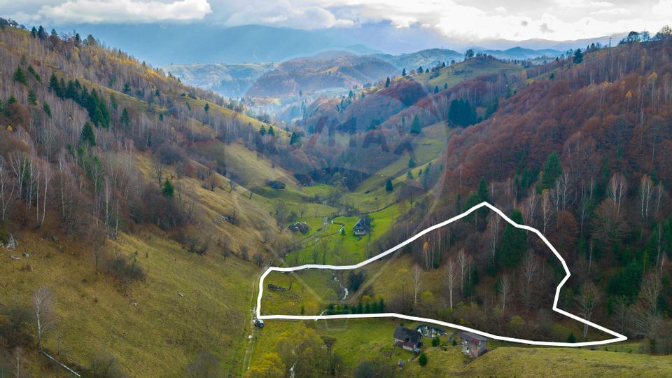 COMISION 0% Teren 8013mp Moieciu de Jos / Strada Valea cu Calea