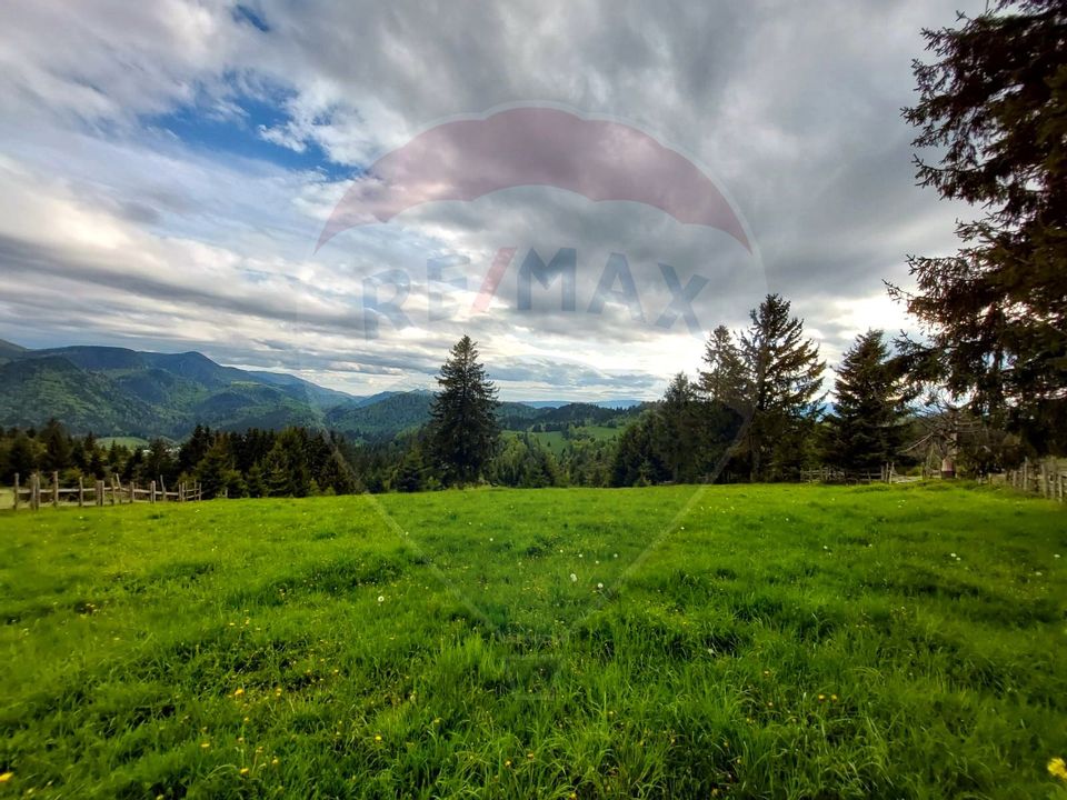 O fereastră către cer – teren de vis în Fundata, la poalele Bucegilor