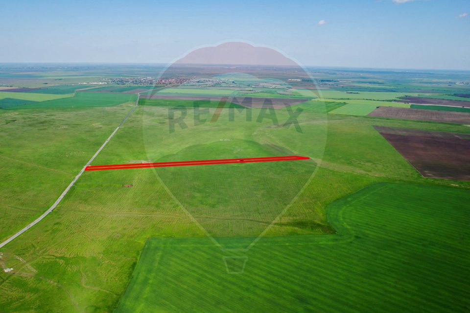 Land 50,000sqm Santana / Soseaua EXTRAVILAN
