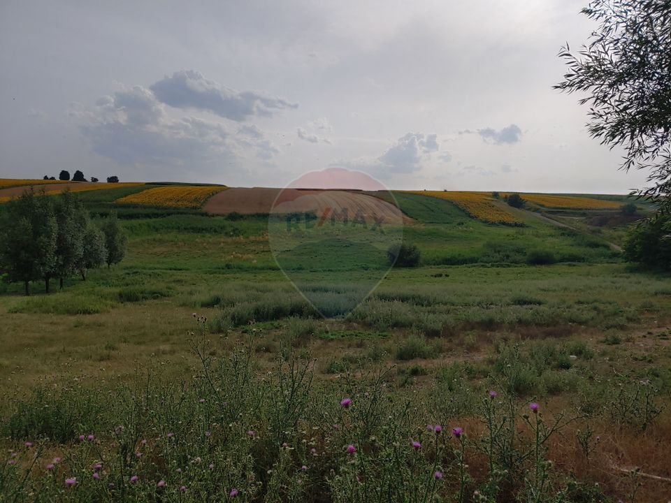 Teren parțial intravilan-300000mp Stroiești-Trei Movile, Suceava