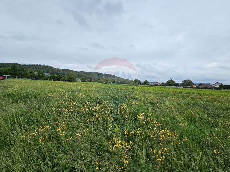 Teren 1,495mp Dobreni / Strada Parau Almas