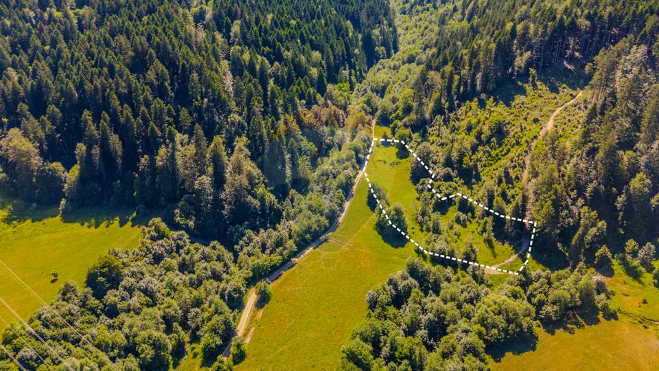 Teren 6000mp Sacele -zona Brădet/ Intravilan/ COMISION 0%