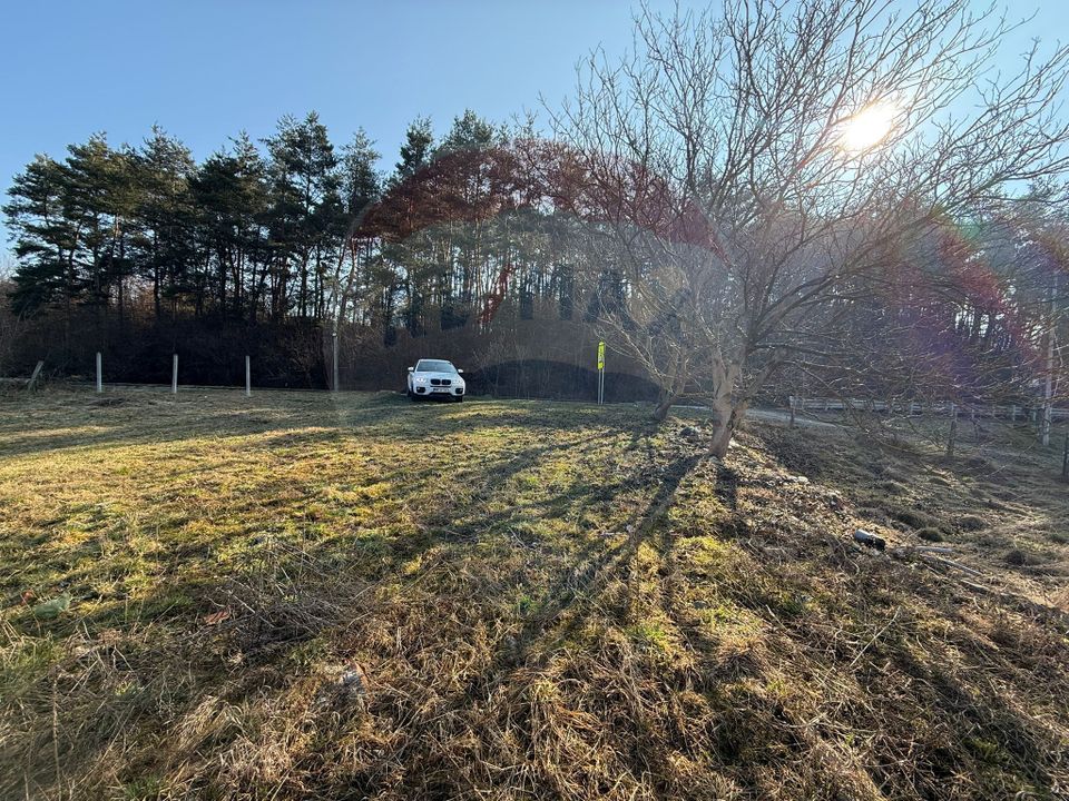 Land 7,968sqm Sighetu Marmatiei / Strada Lazu Baciului