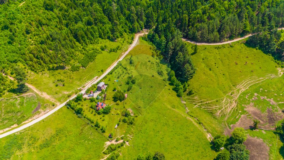 Land 7,400sqm Tarlungeni / Strada secundara