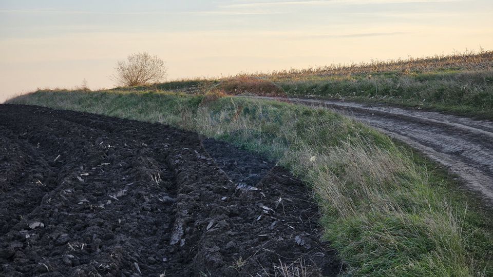 Land 30,077sqm Stroiesti / Soseaua DN17