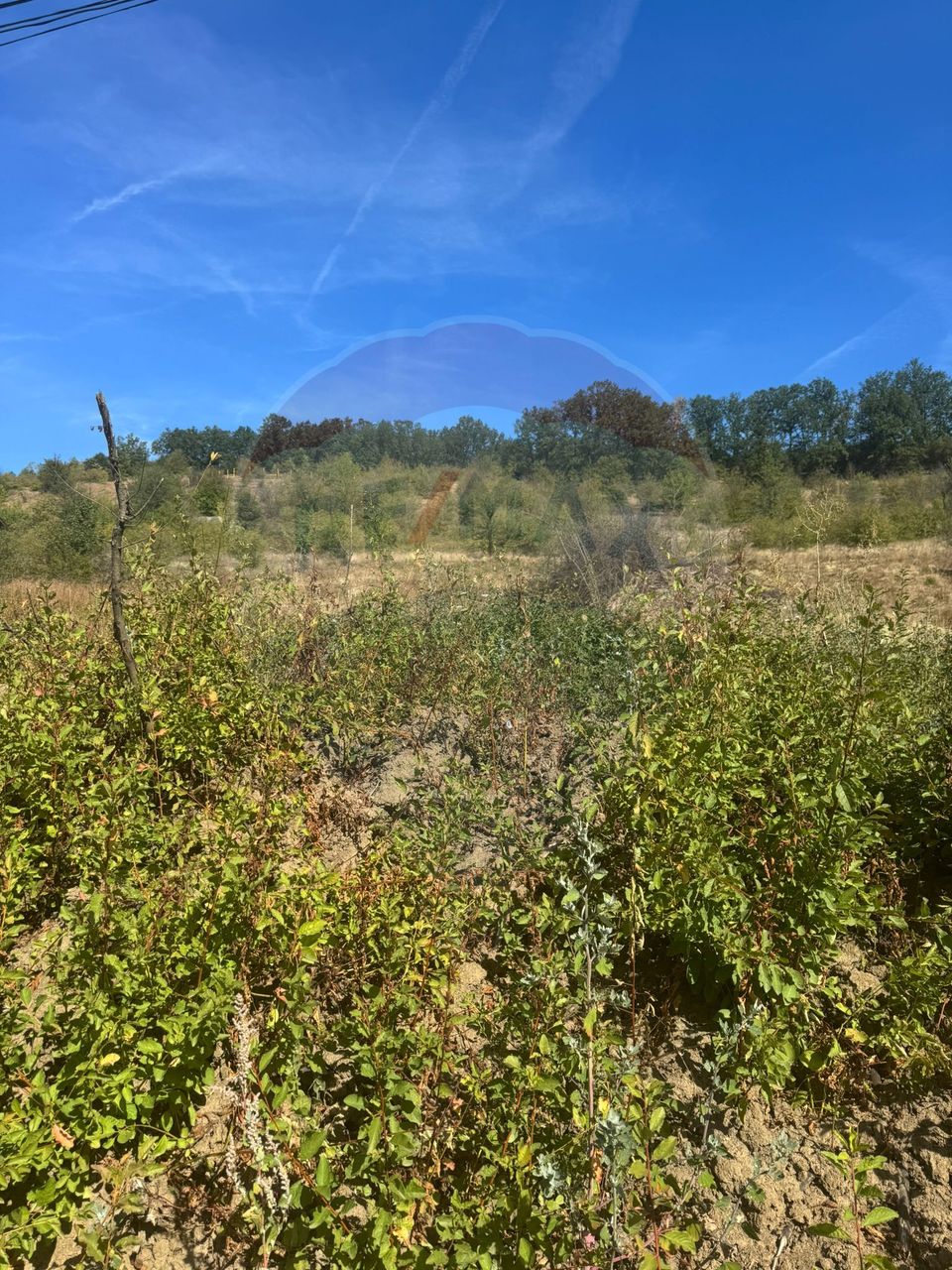 Land 6,600sqm Leamna de Sus / None