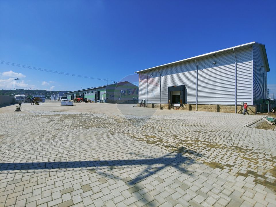 Depozit frigorific de 216 mp cu 4 celule, Șcheia, Suceava