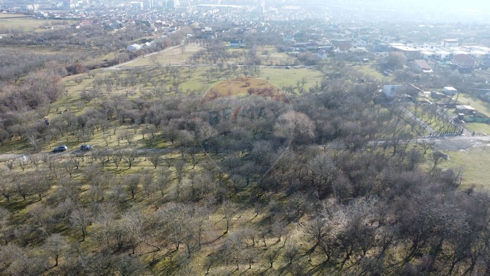 Teren 20.146 mp Dâmbu Rotund (Lomb).Extravilan.Potențial rezidențial