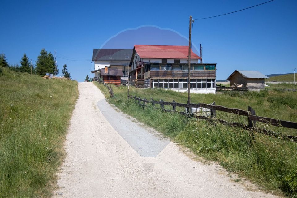 Teren 56599mp Dambovicioara / Soseaua DN 73Dealul sasului!