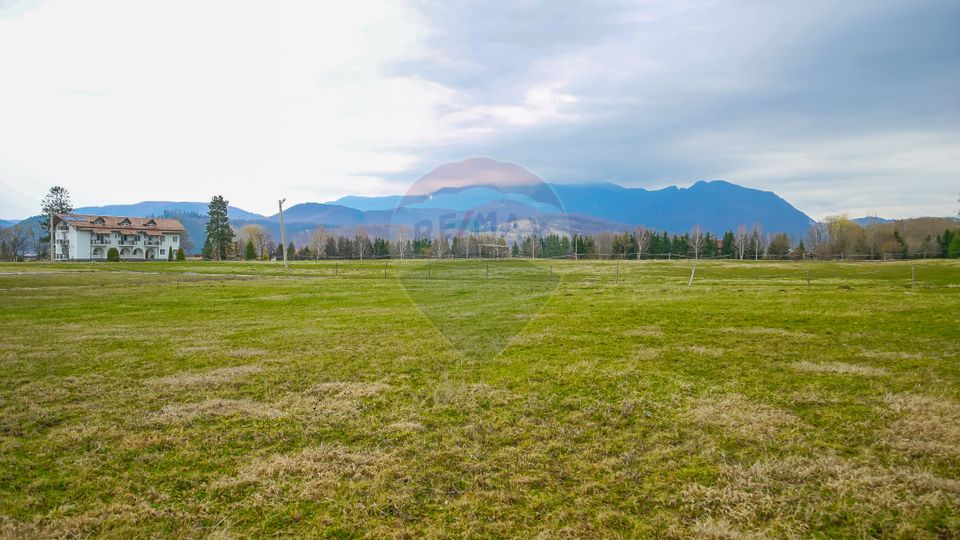 Complex Turistic Panicel, DN73A