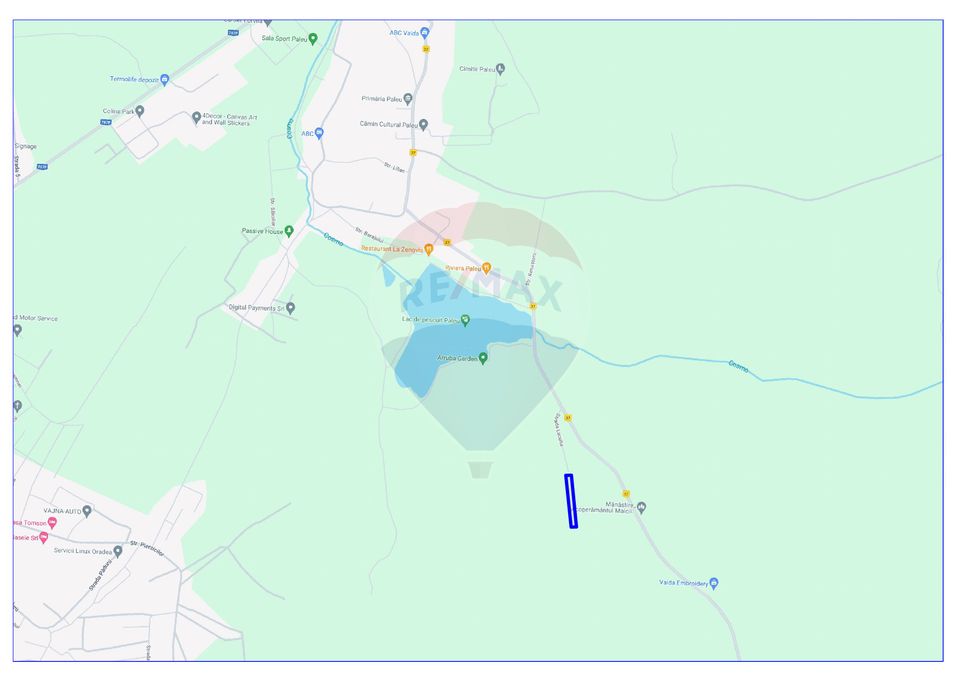 Land 3,762sqm Paleu / Strada Lacului