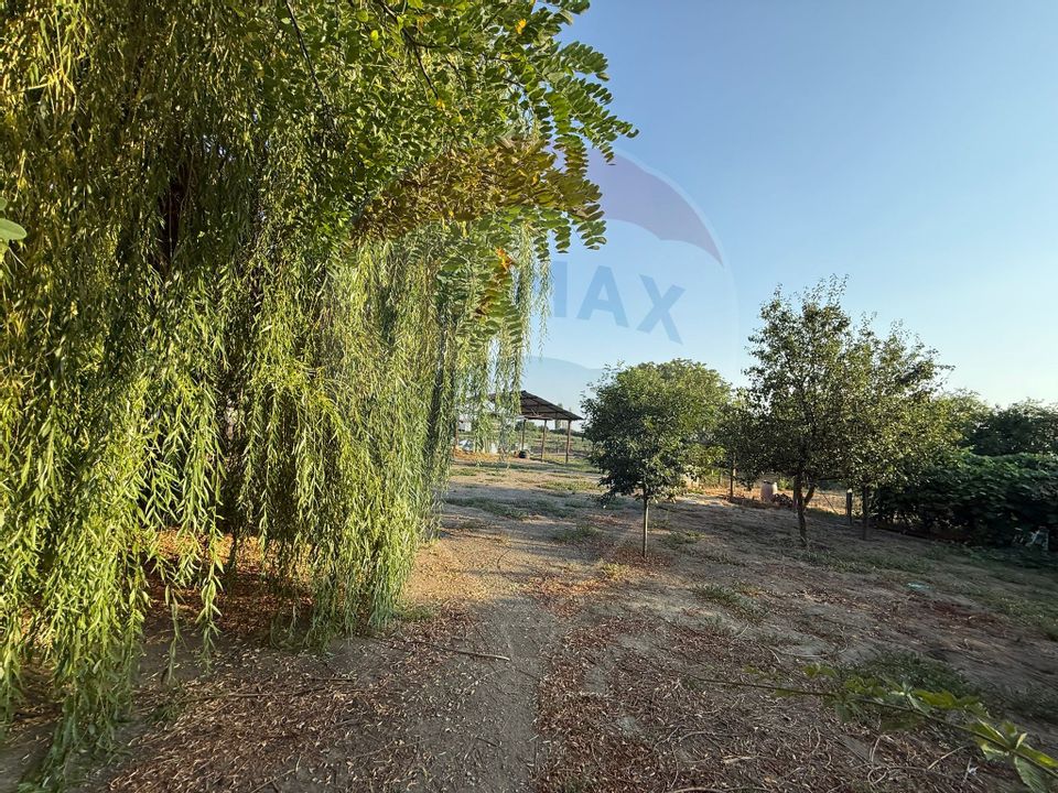 De vânzare Casă / Vilă 5 camere + 5.300 mp teren Slobozia Moara, DB