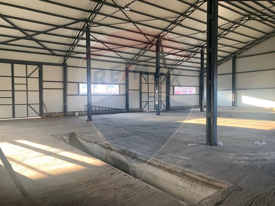 Hală Nouă pe Structură Metalică de închiriat în zona Est