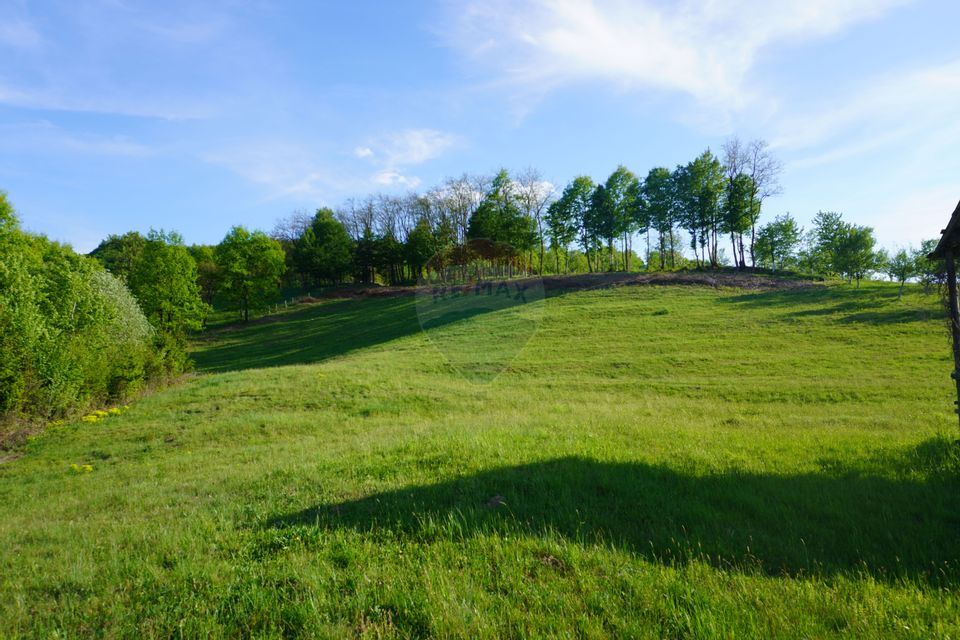 Teren 15,000mp Sighetu Marmatiei / Strada Mocăniței