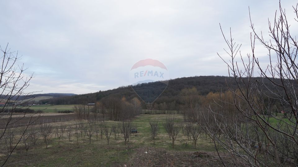 Land 517sqm Bacau / Strada Principala