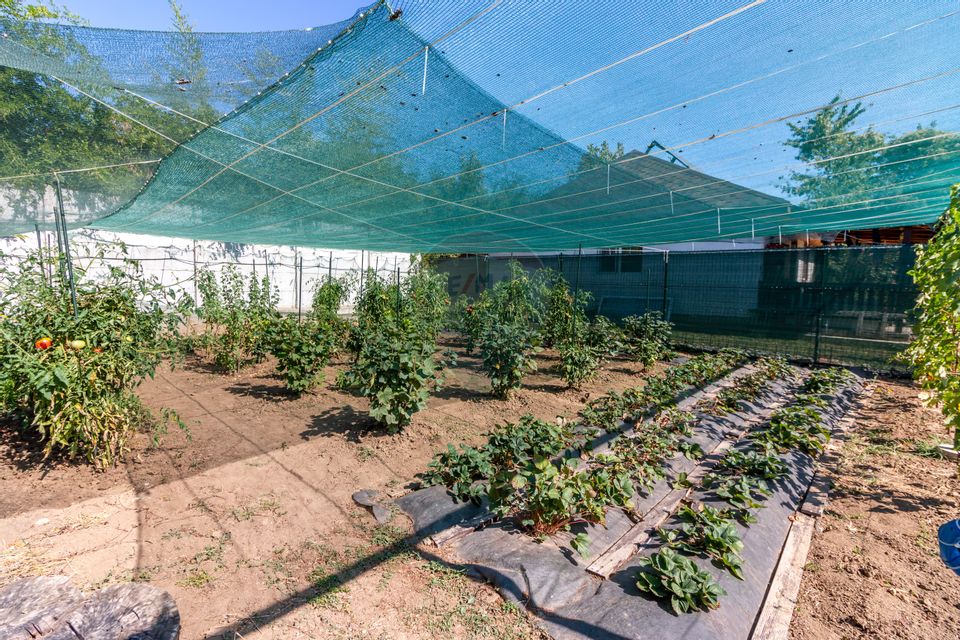 Casa de vanzare cu teren 1500mp Snagov / Padure si lac la cativa pasi