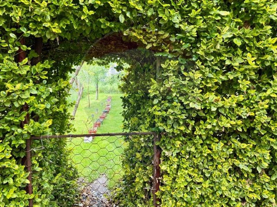 5 room House / Villa for sale, Nord-Vest area