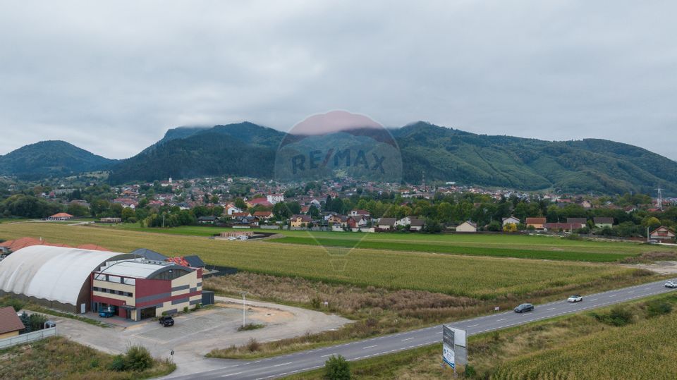 Un lot de casa intrare Sacele 790 mp + 3 loturi de 440mp