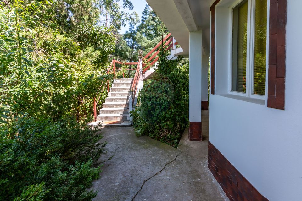 Casa+Laborator+ Teren 12.700 mp + casa de vacanta - Bolintin Vale