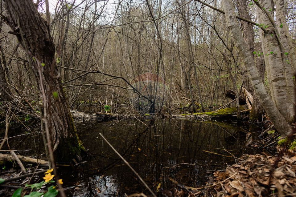 Casa si teren intravilan Tarcau