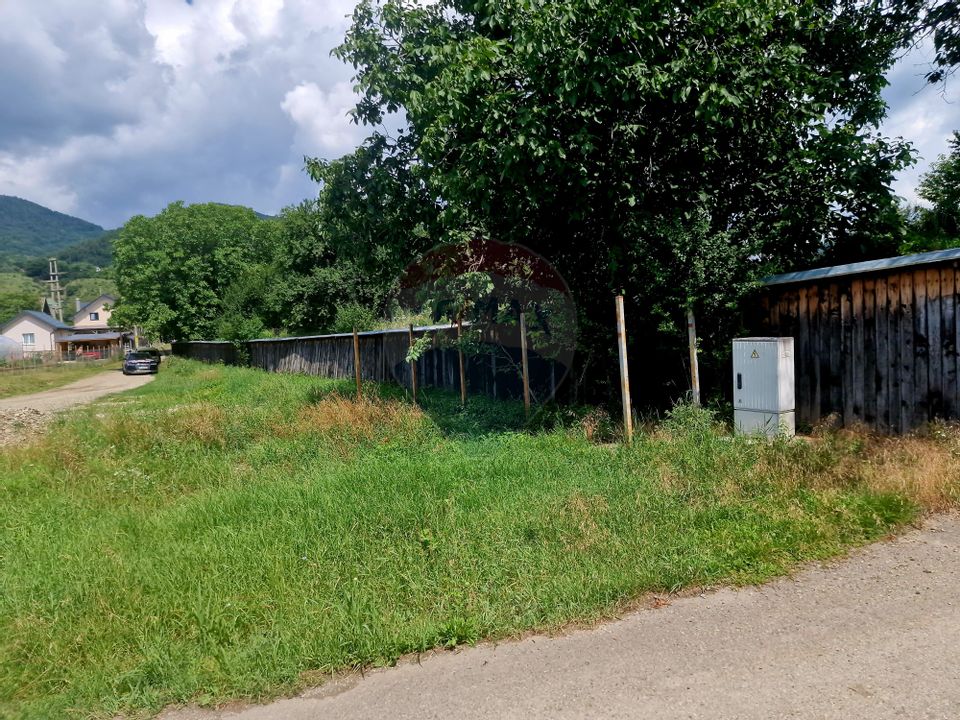 Teren intravilan 1000 mp – Viișoara, utilități