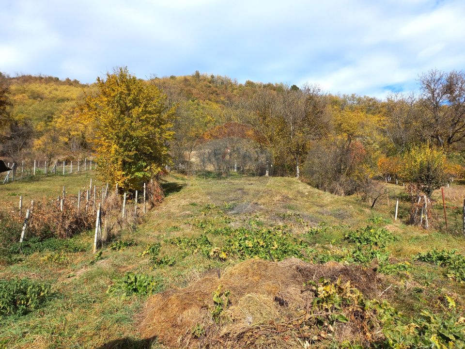 Casă saseasca 3 camere in Nades - 25 km fata de Sighisoara