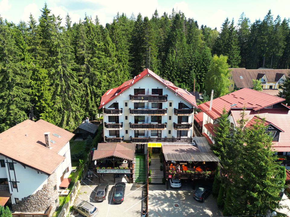 14 room Hotel / Pension for sale, Vladet - Trei Brazi area