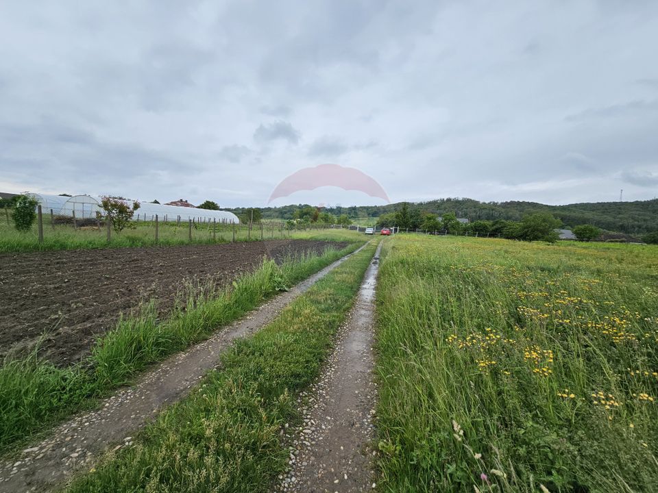 Land 1,495sqm Dobreni / Strada Parau Almas
