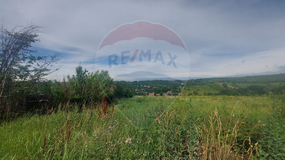 Land 2,833sqm Oradea / Strada Sofiei