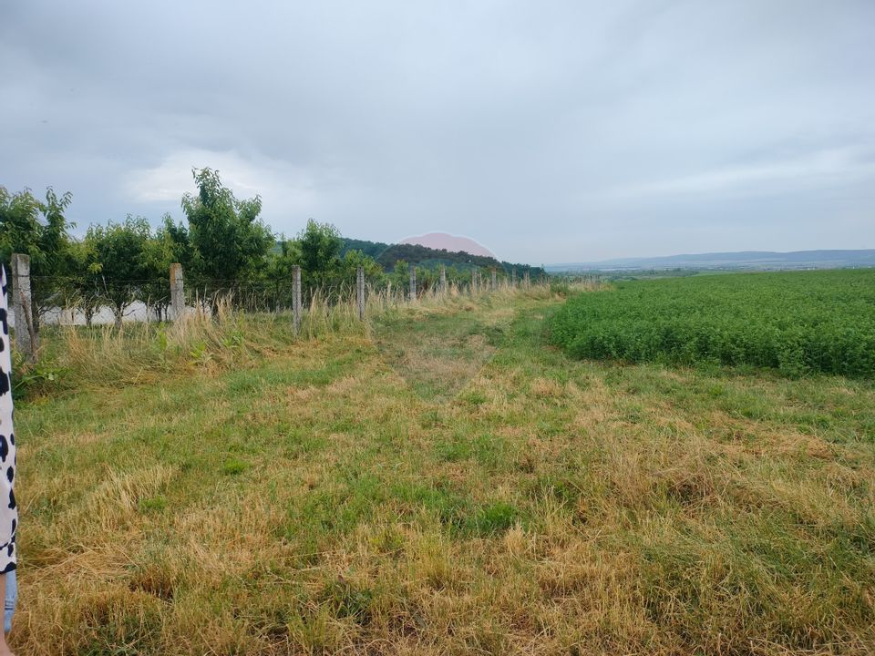 Teren extravilan 18200 mp Reghin