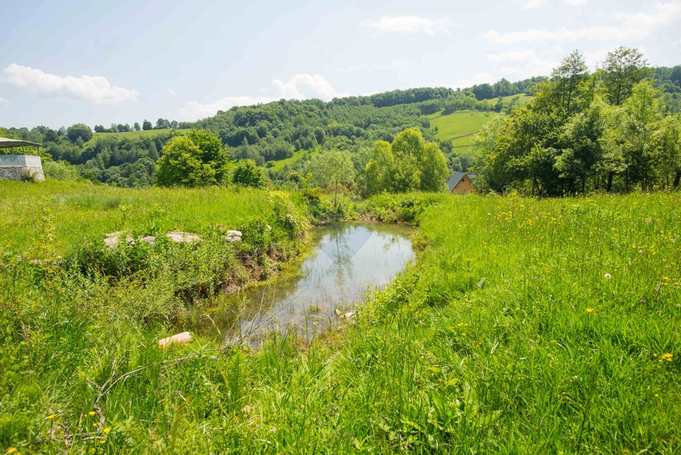 Land with utilities, 5,495sqm Bran - panoramic view, near Bran Castle