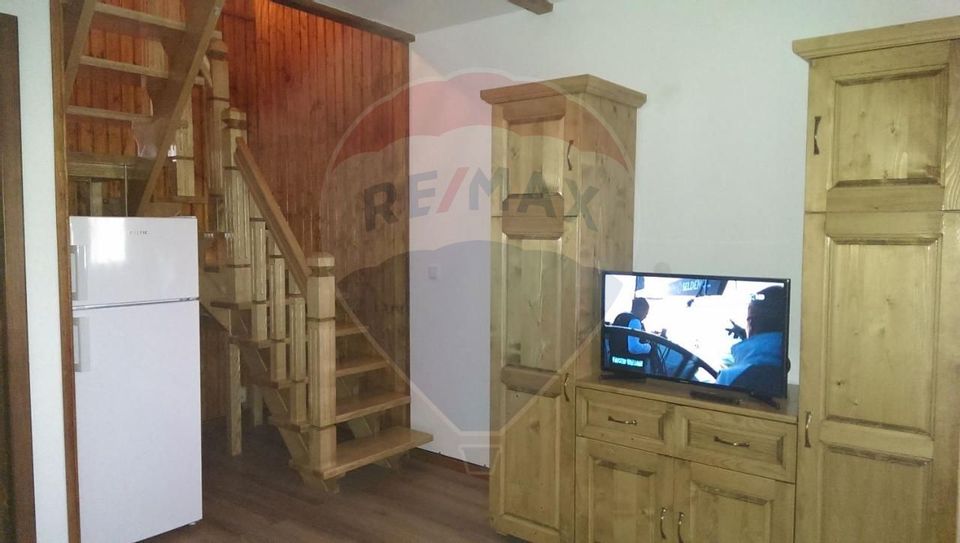 For sale 3 holiday homes and 15750 sqm land, Botiza, Maramures