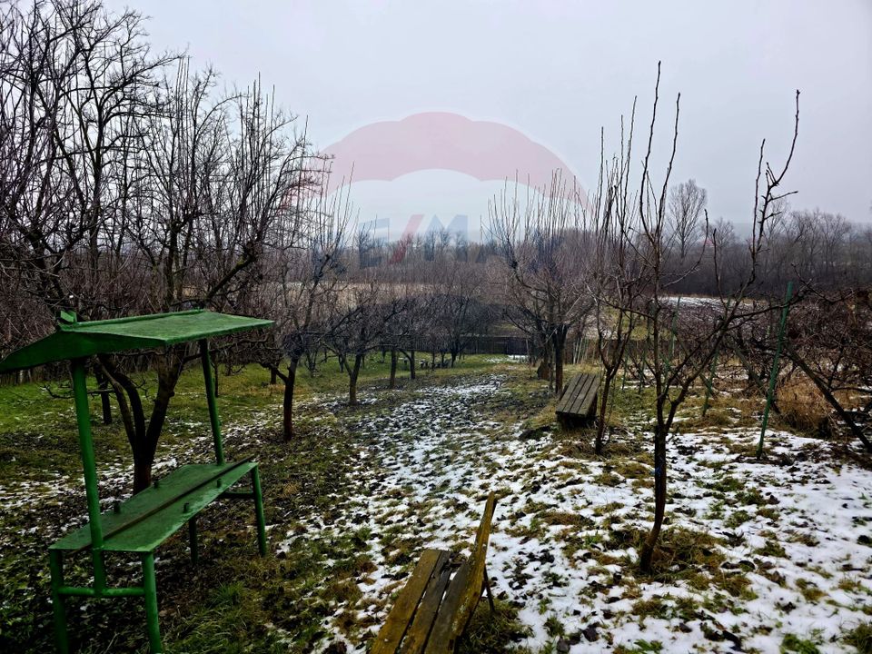 Land 4,516sqm Doina / Strada PRINCIPALA