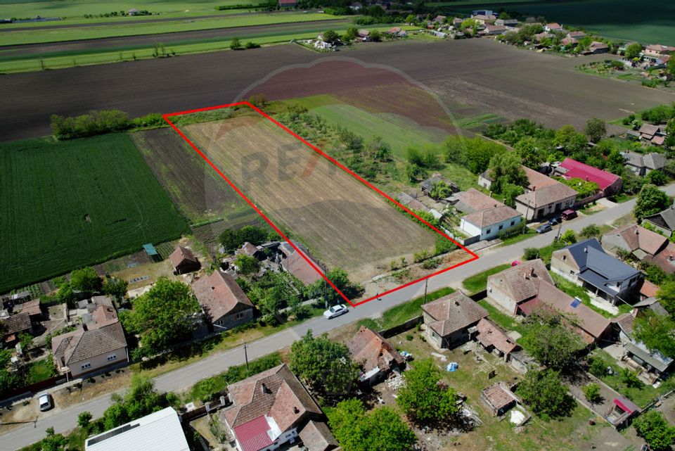Teren intravilan 5,018mp Variasu Mare - 15 km de Arad/ str. Principală