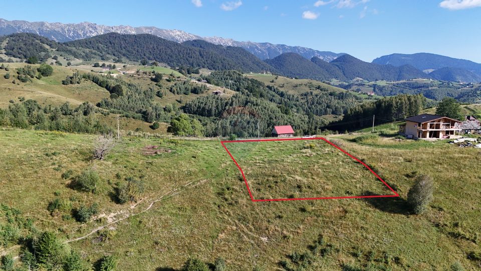 REZERVAT Comision 0% | Teren Extravilan cu PUZ în lucru |