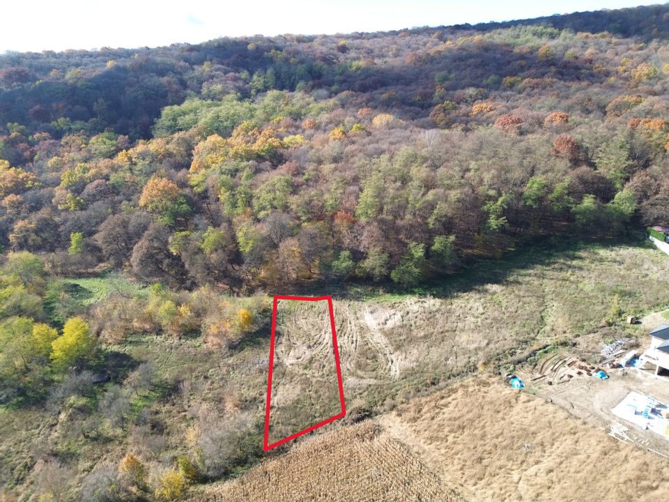 Teren de vânzare – zonă Wevern, Medias – 1.233 mp lângă padure