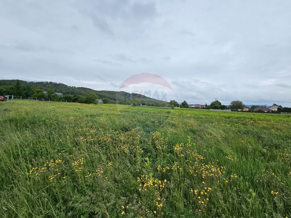 Land 1,495sqm Dobreni / Strada Parau Almas