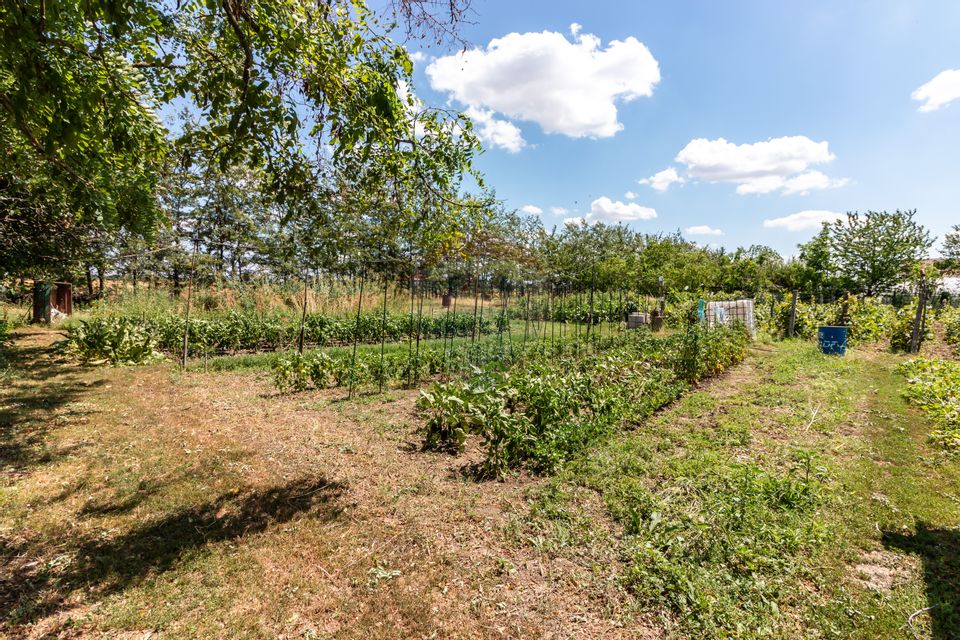 Casa+Laborator+ Teren 12.700 mp + casa de vacanta - Bolintin Vale