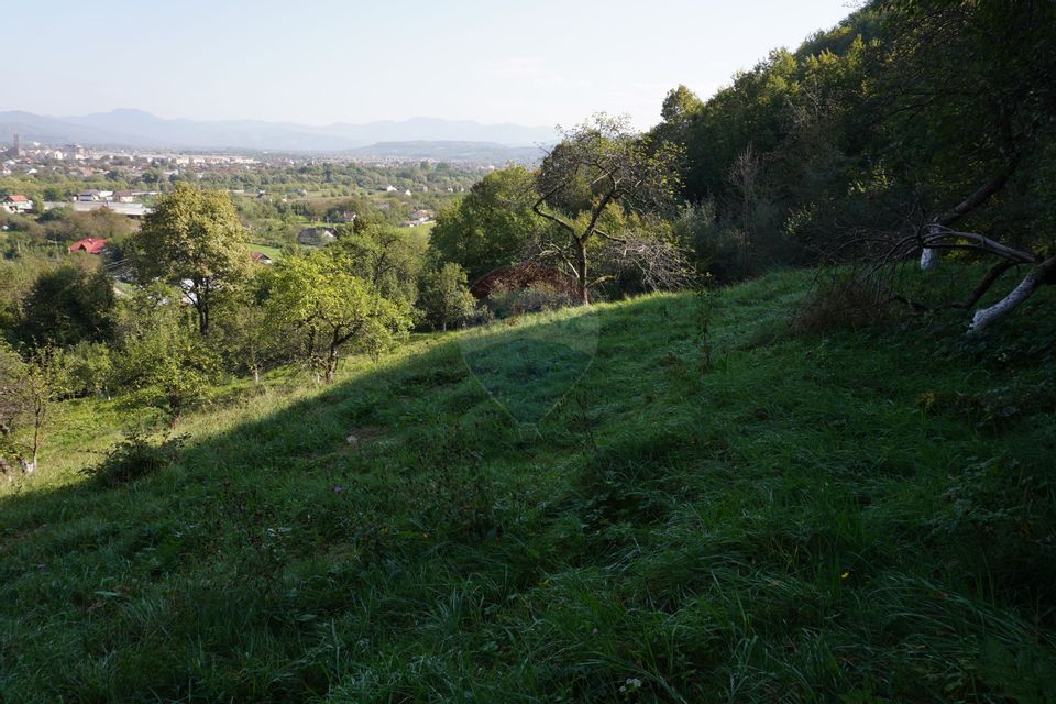 Land 1,000sqm Sighetu Marmatiei / Strada Dealul Cetatii