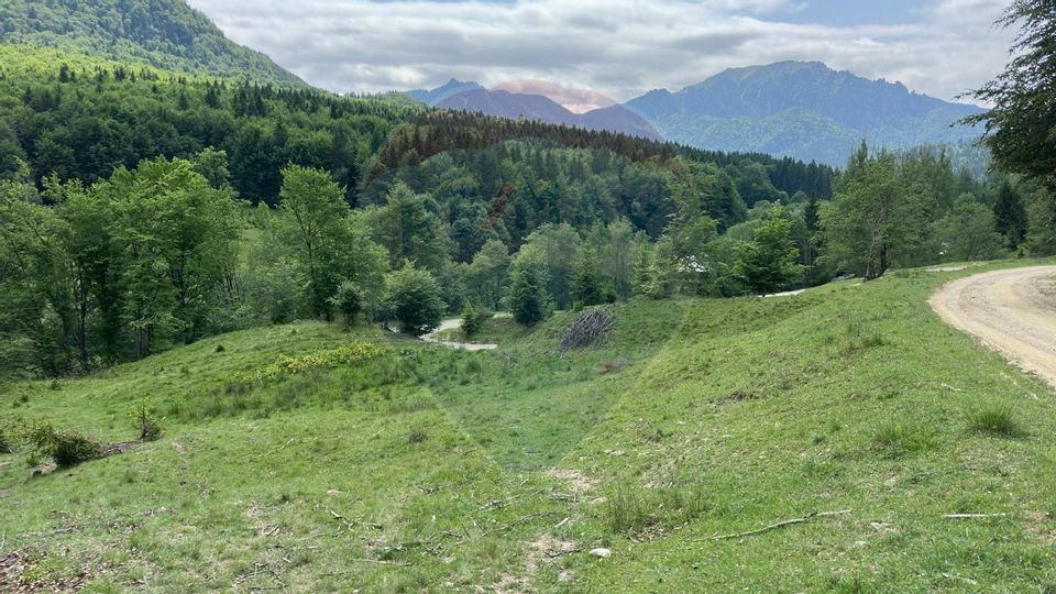 Land 8,500sqm Dalghiu / DJ 103A