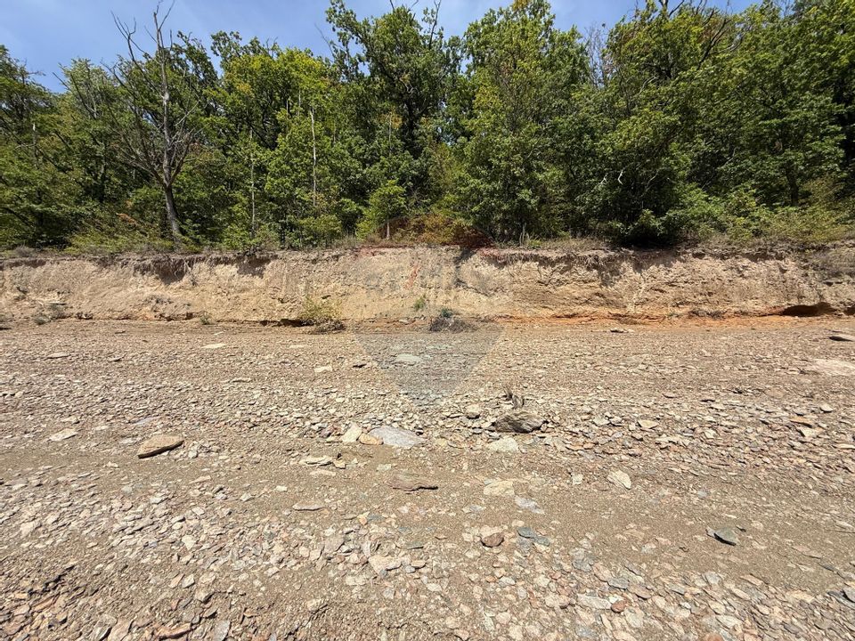 Teren intravilan cu deschidere la lacul Tarnița